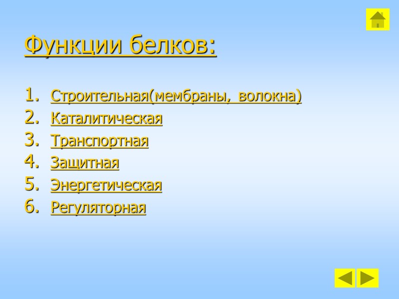 Функции белков: Строительная(мембраны, волокна) Каталитическая Транспортная Защитная Энергетическая Регуляторная